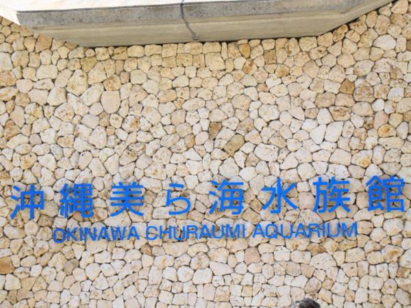 Kariyushi Condominium Resort Nago Rb Villa Nakijin Eksteriør billede